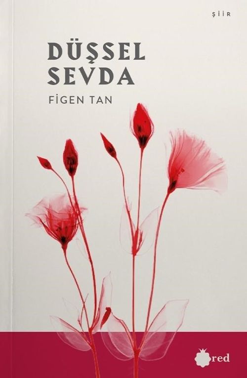Düşsel Sevda