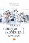 Türkiye Girişimcilik Ekosistemi (2001-2020)