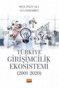Türkiye Girişimcilik Ekosistemi (2001-2020)