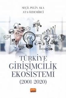 Türkiye Girişimcilik Ekosistemi (2001-2020)