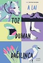 Toz Duman  Dağılınca