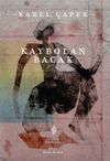Kaybolan Bacak
