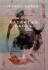Kaybolan Bacak