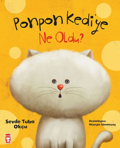 Ponpon Kediye Ne Oldu?