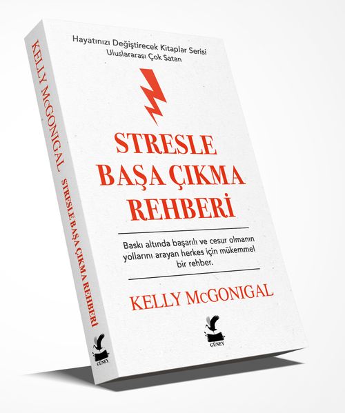 Stresle Başa Çıkma Rehberi & Hayatınızı Değiştirecek Kitaplar Serisi