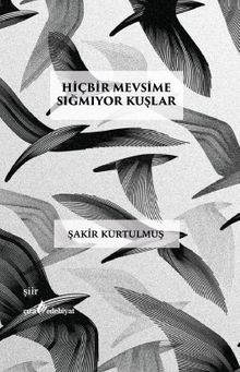 Hiçbir Mevsime Sığmıyor Kuşlar