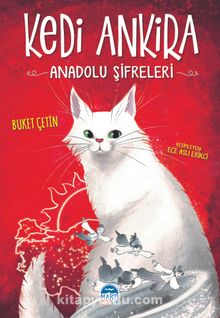 Kedi Ankira & Anadolu Şifreleri