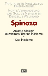 Anlama Yetisinin Düzeltilmesi Üzerine İnceleme - Kısa İnceleme 