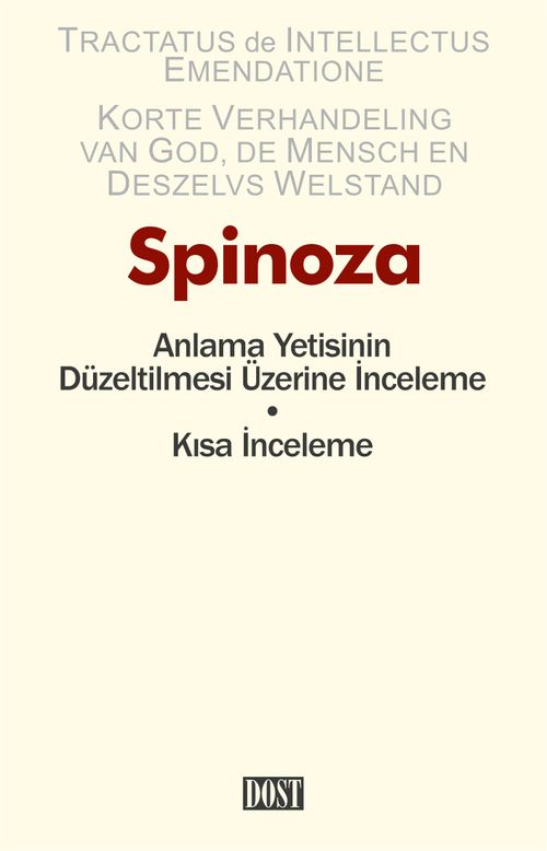 Anlama Yetisinin Düzeltilmesi Üzerine İnceleme - Kısa İnceleme 