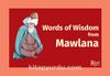 Words of Wisdom from Mawlana