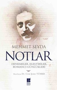Notlar & Denemeler, Eleştiriler, Romancı Günlükleri 