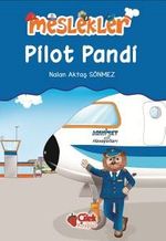 Pilot Pandi / Meslekler