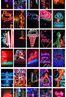 Neon Temalı 54 Adet Duvar Poster - Kolaj Seti Oda Dekoru</span>