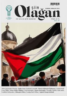 Olağan Şiir Dergisi Sayı:35 Kasım-Aralık 2023