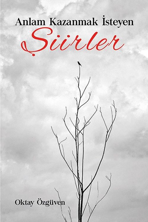 Anlam Kazanmak İsteyen Şiirler