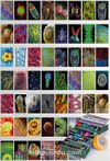 Mikroskobik Dünya Temalı 54 Adet Duvar Poster Seti Oda Dekoru (GGK-K102)