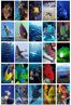 Deniz Canlıları Temalı 54 Adet Duvar Poster Seti Oda Dekoru (GGK-K093)</span>