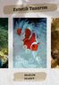Deniz Canlıları Temalı 54 Adet Duvar Poster Seti Oda Dekoru (GGK-K093)</span>