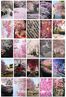 Japon Kiraz Ağacı Temalı 54 Adet Duvar Poster Seti Oda Dekoru (GGK-K100)</span>