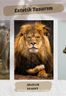 Afrika Safari Temalı 54 Adet Duvar Poster Seti Oda Dekoru (GGK-K090)</span>
