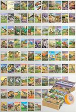 Dinozor Temalı 90 Adet Duvar Poster Seti, Oda Dekoru (Paspartulu)