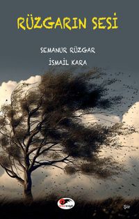 Rüzgarın Sesi