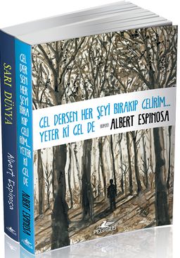 Gel Dersen Her Şeyi Bırakıp Gelirim Yeter Ki Gel De - Sarı Dünya (2 Kitap Set)