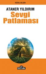 Sevgi Patlaması 