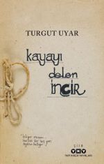Kayayı Delen İncir