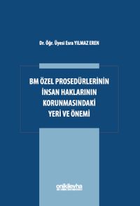 BM Özel Prosedürlerinin İnsan Hakları Korumasındaki Yeri ve Önemi