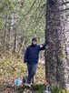 seyyah_280634prs