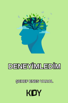 Deneyimledim 