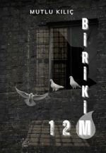 Birikim