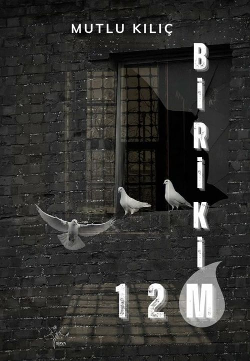 Birikim