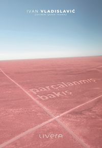 Parçalanmış Bakış 