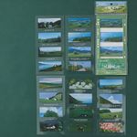 Grass Nature Temalı 5 Farklı Dizayn Pet Index • Index Sticker • Post-it • Sticky Note