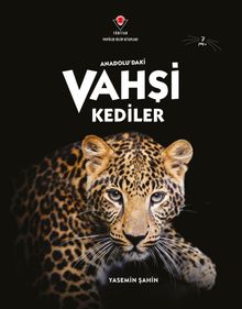 Anadolu'daki Vahşi Kediler