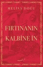 Fırtınanın Kalbine İn