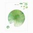 Yeşil Lotus Yaprağı Temalı Post-it • Memo Pad • Sticky Note (GGK-MG093)