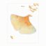 Ginkgo Yaprağı Temalı Post-it • Memo Pad • Sticky Note