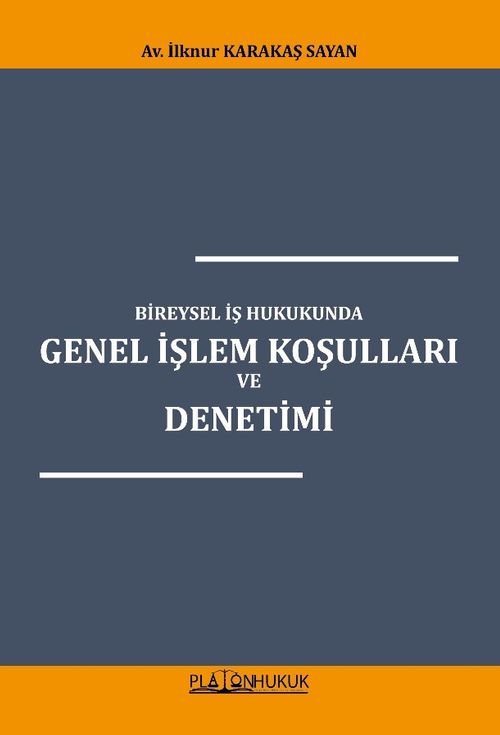 Bireysel İş Hukukunda Genel İşlem Koşulları ve Denetimi 