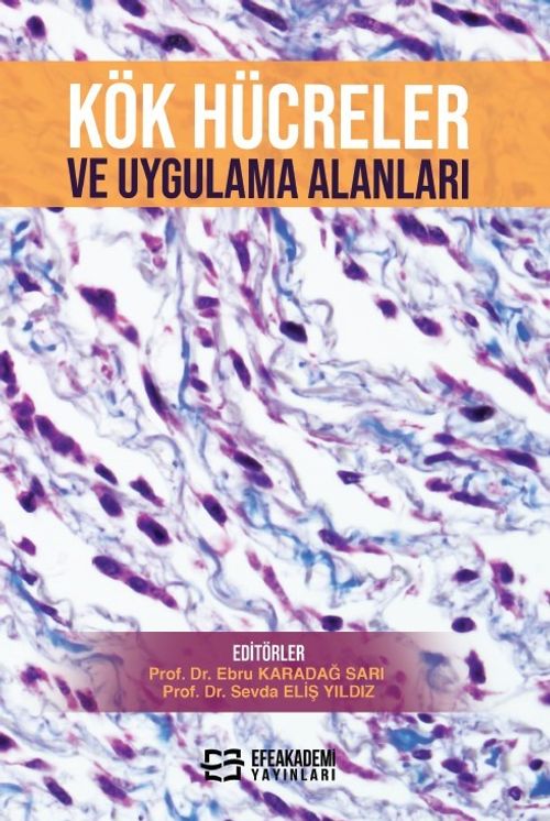 Kök Hücreler ve Uygulama Alanları