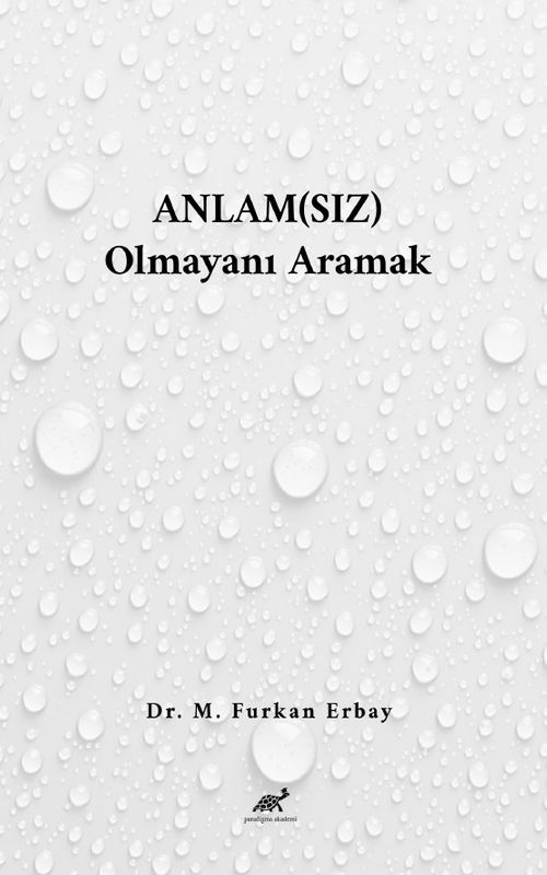 Anlam(sız) Olmayanı Aramak