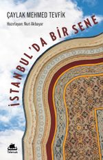 İstanbul'da Bir Sene