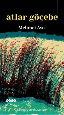 Atlar Göçebe - Mehmet Aycı