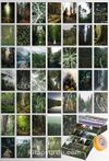 Orman Temalı 45 Adet Duvar Poster - Kolaj Seti, Oda Dekoru (GGK-K075)