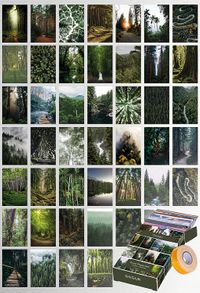 Orman Temalı 45 Adet Duvar Poster - Kolaj Seti, Oda Dekoru (Paspartulu)