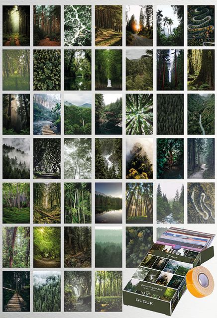 Orman Temalı 45 Adet Duvar Poster - Kolaj Seti, Oda Dekoru (Paspartulu)