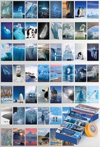 Antartika Temalı 54 Adet Duvar Poster Seti Oda Dekoru
