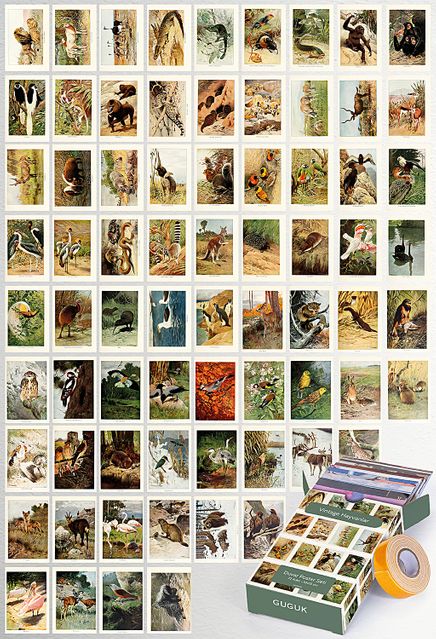 Vintage Hayvan Hayatı Temalı 72 Adet Duvar Poster - Kolaj Seti Oda Dekoru